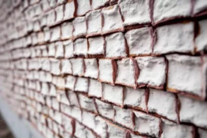 isolation phonique d un mur mitoyen solutions pour reduire les nuisances sonores.webp