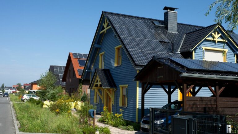 panneau solaire (80)