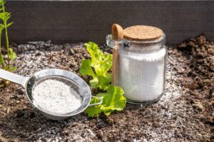 poudre simple d’utilisation