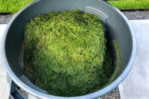 recycler l’herbe tondue