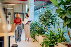 visu fonctionnel amenager agreable comment espace